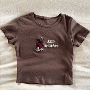 Brandy Melville Brown Crop Top